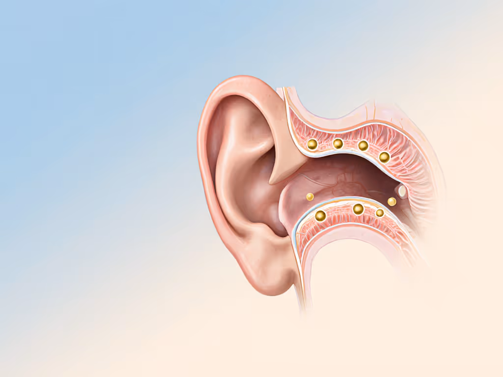 ear_canal_anatomy_and_pressure_points